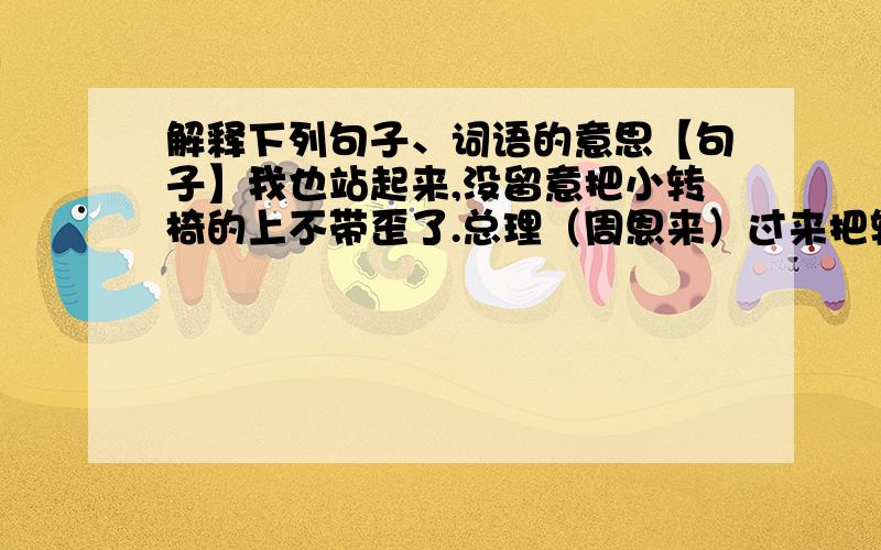 解释下列句子、词语的意思【句子】我也站起来,没留意把小转椅的上不带歪了.总理（周恩来）过来把转椅扶正,就走到里面去了.（节选）《一夜的工作》【词语】死得其所 所（ ) 语重心长