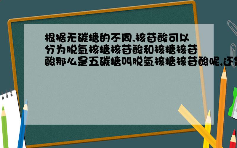 根据无碳糖的不同,核苷酸可以分为脱氧核糖核苷酸和核糖核苷酸那么是五碳糖叫脱氧核糖核苷酸呢,还是整个核苷酸叫脱氧核糖核苷酸