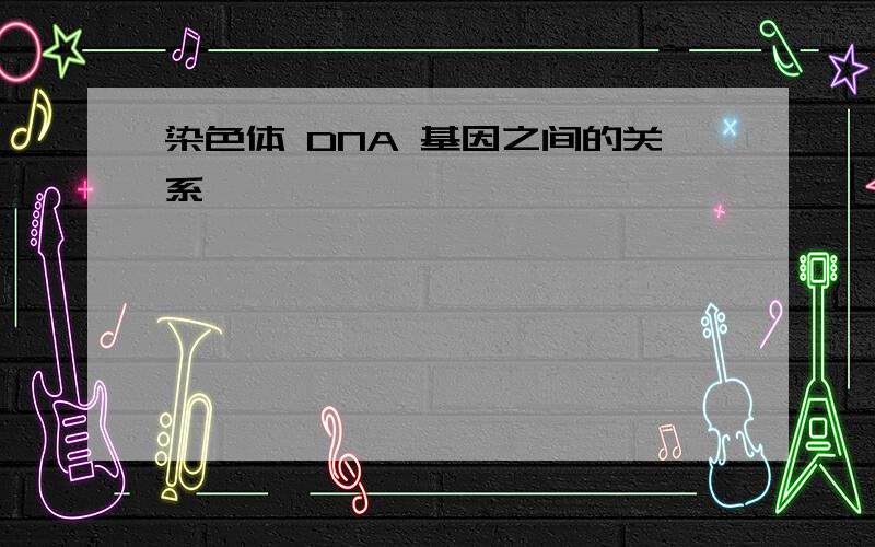 染色体 DNA 基因之间的关系