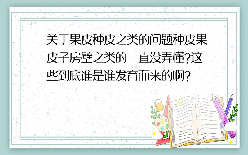 关于果皮种皮之类的问题种皮果皮子房壁之类的一直没弄懂?这些到底谁是谁发育而来的啊?