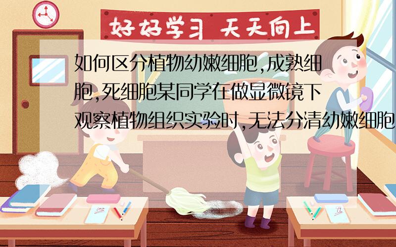 如何区分植物幼嫩细胞,成熟细胞,死细胞某同学在做显微镜下观察植物组织实验时,无法分清幼嫩细胞,成熟细胞和死细胞.该同学希望通过设计相关实验将三种细胞加以区分,请书写实验目的和