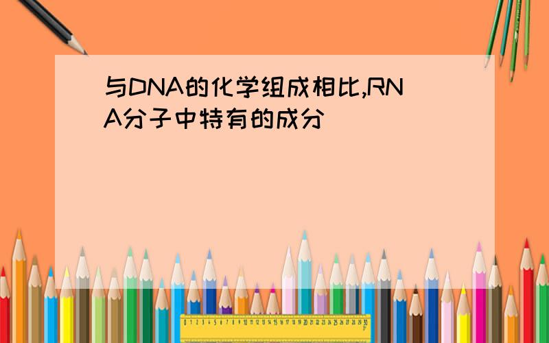 与DNA的化学组成相比,RNA分子中特有的成分