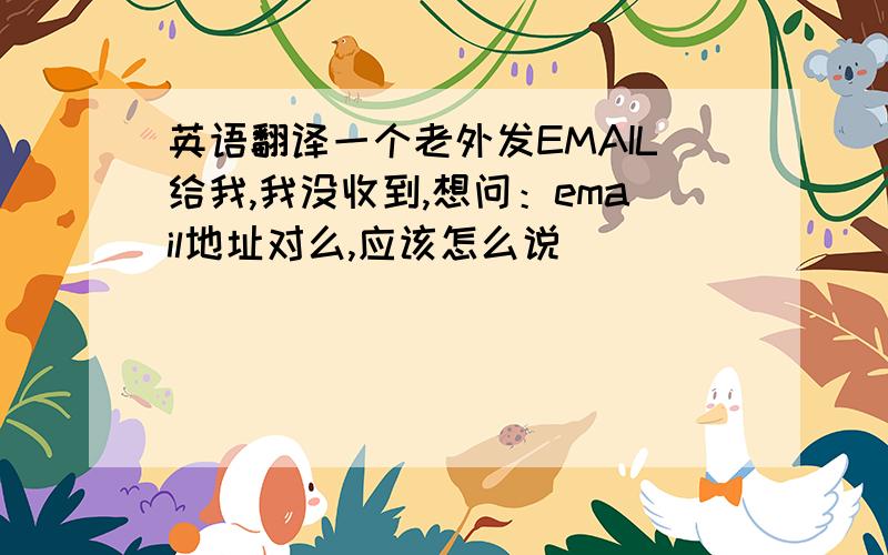 英语翻译一个老外发EMAIL给我,我没收到,想问：email地址对么,应该怎么说