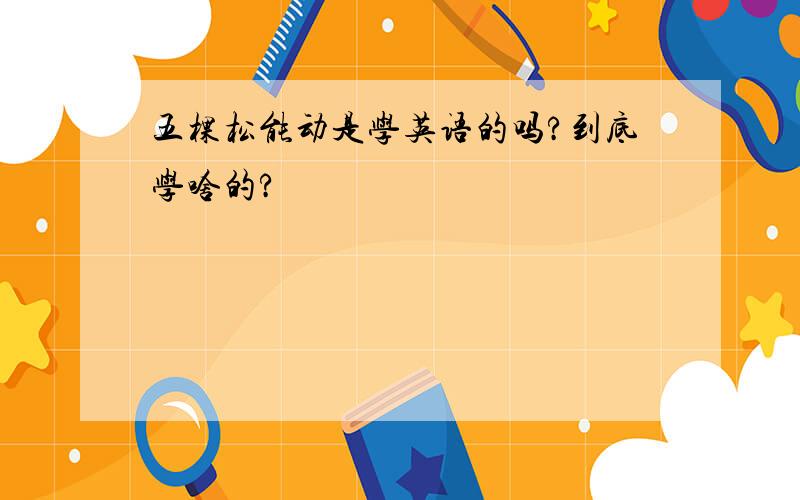 五棵松能动是学英语的吗?到底学啥的?