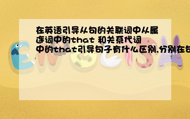 在英语引导从句的关联词中从属连词中的that 和关系代词中的that引导句子有什么区别,分别在句中可以做什么?