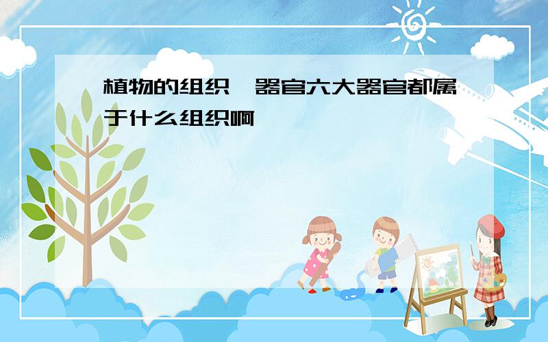 植物的组织、器官六大器官都属于什么组织啊