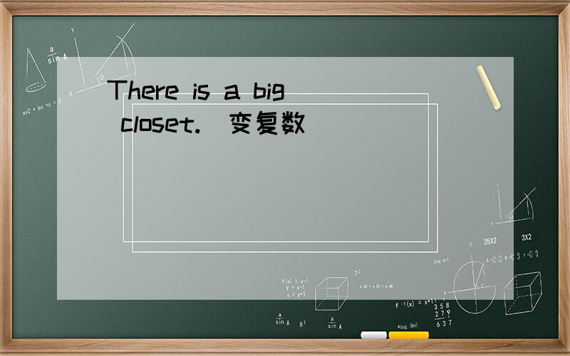 There is a big closet.(变复数)