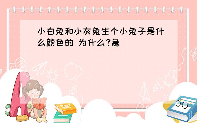 小白兔和小灰兔生个小兔子是什么颜色的 为什么?急