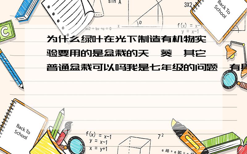 为什么绿叶在光下制造有机物实验要用的是盆栽的天竺葵,其它普通盆栽可以吗我是七年级的问题,有具体步骤也说一下,拜托了.我这没有海棠