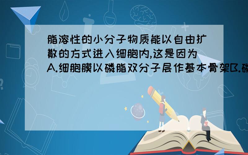 脂溶性的小分子物质能以自由扩散的方式进入细胞内,这是因为A.细胞膜以磷脂双分子层作基本骨架B.磷脂双分之层内不同程度地镶嵌着蛋白质C.细胞膜的结构特点是具有一定的流动性D.细胞模