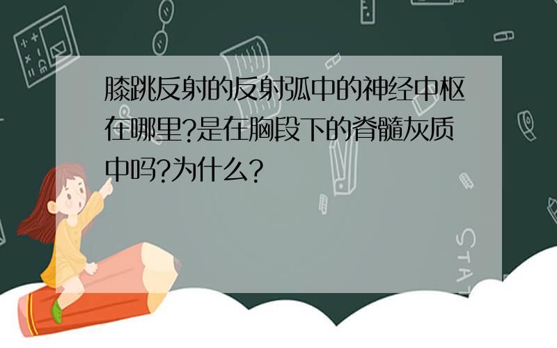 膝跳反射的反射弧中的神经中枢在哪里?是在胸段下的脊髓灰质中吗?为什么?