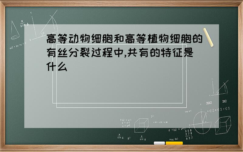 高等动物细胞和高等植物细胞的有丝分裂过程中,共有的特征是什么