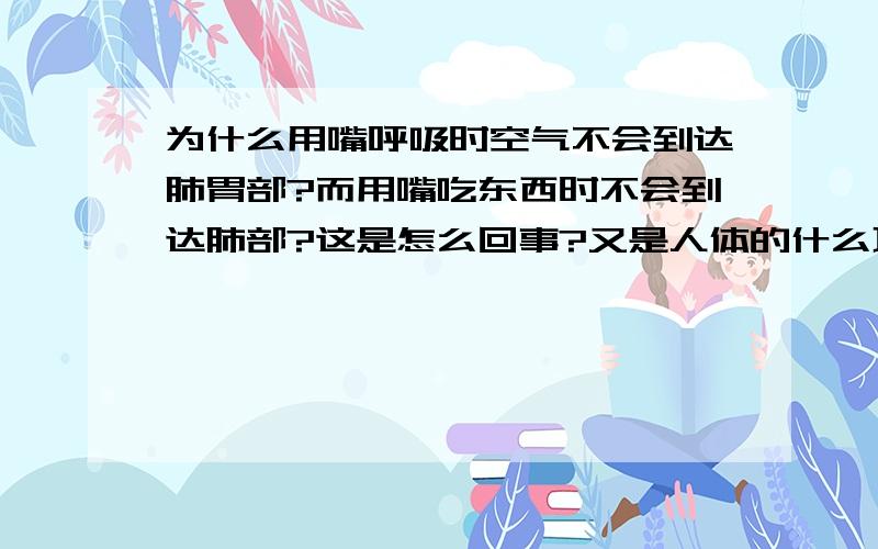 为什么用嘴呼吸时空气不会到达肺胃部?而用嘴吃东西时不会到达肺部?这是怎么回事?又是人体的什么功能?