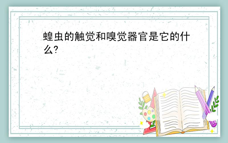 蝗虫的触觉和嗅觉器官是它的什么?