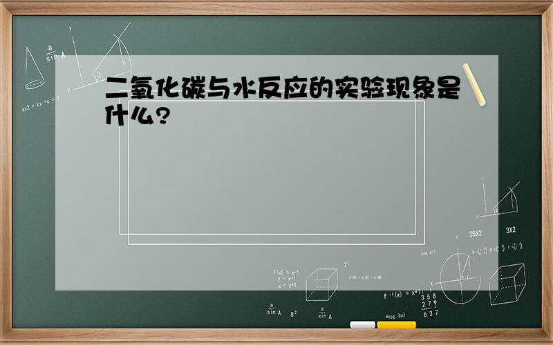 二氧化碳与水反应的实验现象是什么?