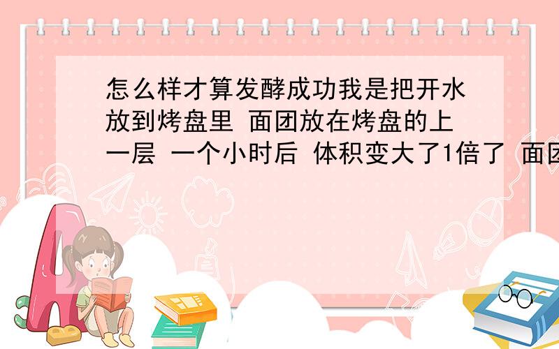 怎么样才算发酵成功我是把开水放到烤盘里 面团放在烤盘的上一层 一个小时后 体积变大了1倍了 面团里也有很多小孔 但是手指插进面团的时候 没恢复 烤出来的面包 外皮很硬 里面就像没考