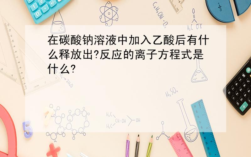 在碳酸钠溶液中加入乙酸后有什么释放出?反应的离子方程式是什么?