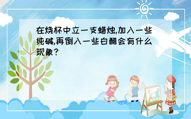 在烧杯中立一支蜡烛,加入一些纯碱,再倒入一些白醋会有什么现象?