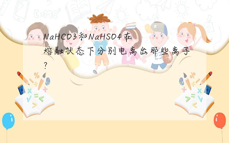 NaHCO3和NaHSO4在熔融状态下分别电离出那些离子?