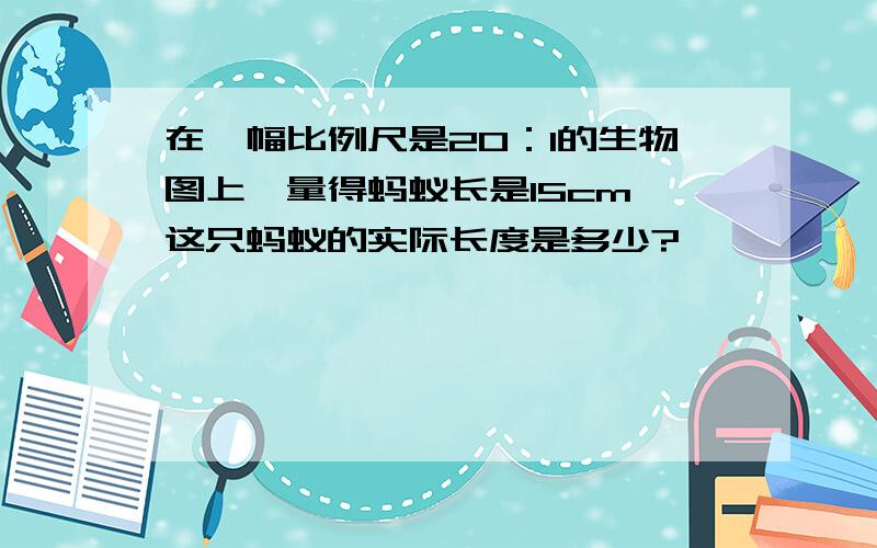 在一幅比例尺是20：1的生物图上,量得蚂蚁长是15cm,这只蚂蚁的实际长度是多少?