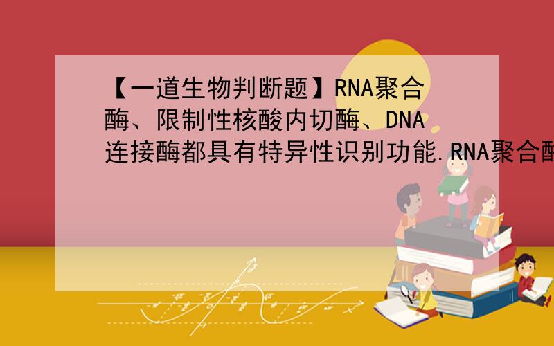 【一道生物判断题】RNA聚合酶、限制性核酸内切酶、DNA连接酶都具有特异性识别功能.RNA聚合酶、限制性核酸内切酶、DNA连接酶都具有特异性识别功能——对吗?