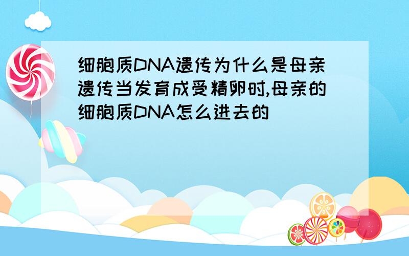 细胞质DNA遗传为什么是母亲遗传当发育成受精卵时,母亲的细胞质DNA怎么进去的