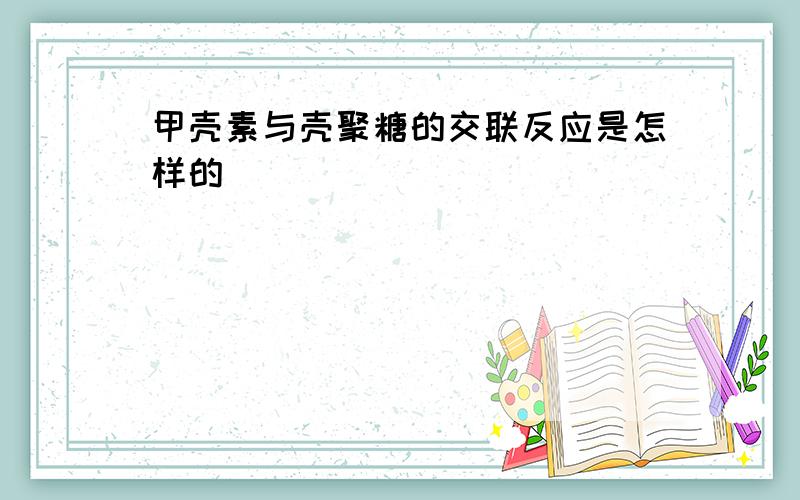 甲壳素与壳聚糖的交联反应是怎样的