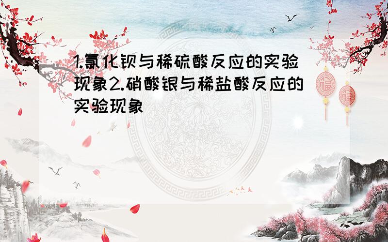 1.氯化钡与稀硫酸反应的实验现象2.硝酸银与稀盐酸反应的实验现象