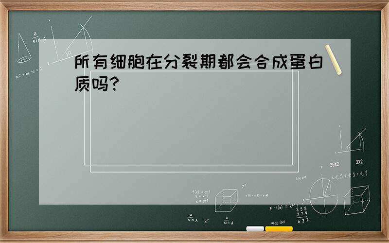 所有细胞在分裂期都会合成蛋白质吗?