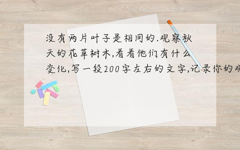 没有两片叶子是相同的.观察秋天的花草树木,看看他们有什么变化,写一段200字左右的文字,记录你的观察