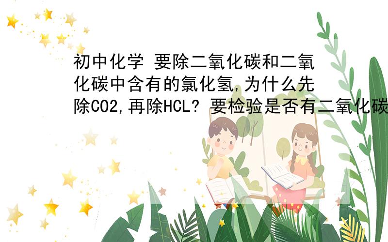 初中化学 要除二氧化碳和二氧化碳中含有的氯化氢,为什么先除CO2,再除HCL? 要检验是否有二氧化碳和氯化氢要除二氧化碳和二氧化碳中含有的氯化氢,为什么先除CO2,再除HCL?要检验是否有二氧