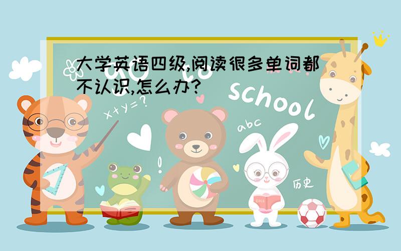 大学英语四级,阅读很多单词都不认识,怎么办?