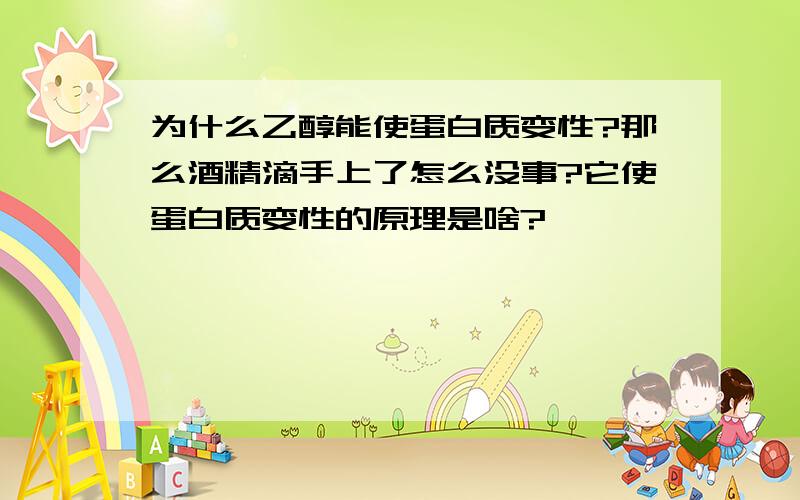 为什么乙醇能使蛋白质变性?那么酒精滴手上了怎么没事?它使蛋白质变性的原理是啥?