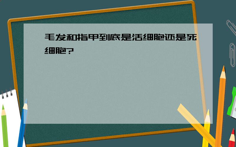 毛发和指甲到底是活细胞还是死细胞?