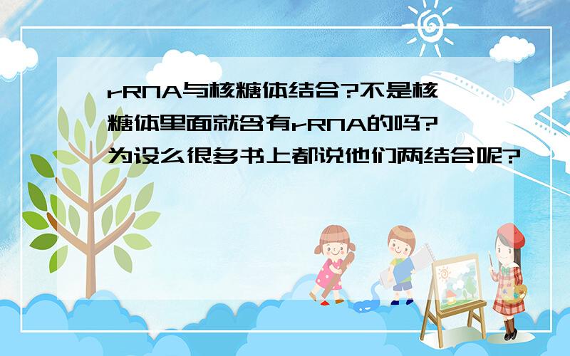 rRNA与核糖体结合?不是核糖体里面就含有rRNA的吗?为设么很多书上都说他们两结合呢?