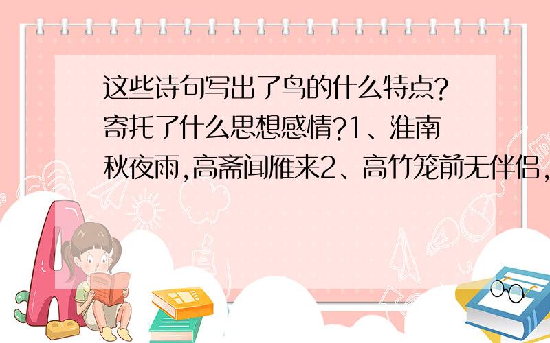 这些诗句写出了鸟的什么特点?寄托了什么思想感情?1、淮南秋夜雨,高斋闻雁来2、高竹笼前无伴侣,乱群鸡里有风标3、惟有旧巢燕,主人贫亦归