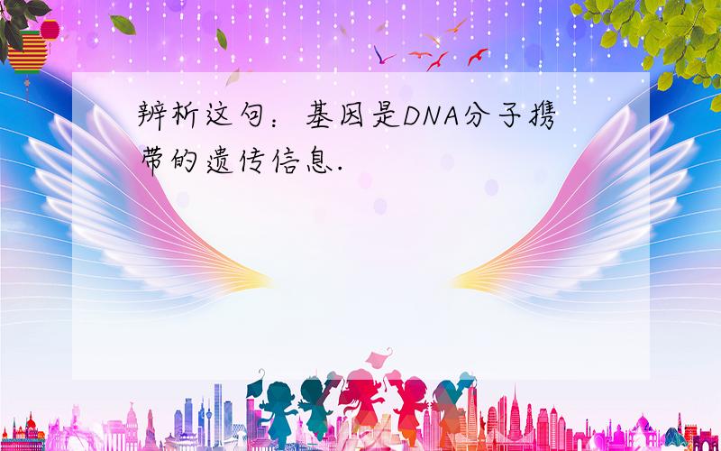 辨析这句：基因是DNA分子携带的遗传信息.