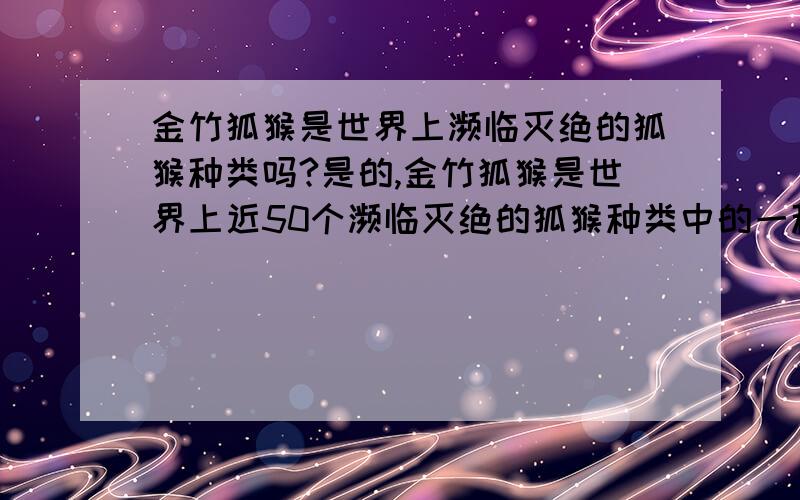 金竹狐猴是世界上濒临灭绝的狐猴种类吗?是的,金竹狐猴是世界上近50个濒临灭绝的狐猴种类中的一种．以前,金竹狐猴一直是当地人捕猎的对象,这使它们的数量急剧下降.但现在,人们使用的