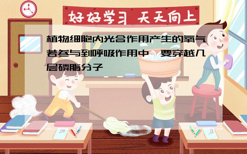 植物细胞内光合作用产生的氧气若参与到呼吸作用中,要穿越几层磷脂分子