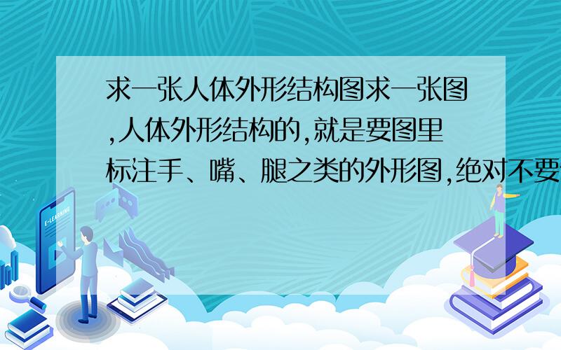 求一张人体外形结构图求一张图,人体外形结构的,就是要图里标注手、嘴、腿之类的外形图,绝对不要什么骨骼图、内脏图……