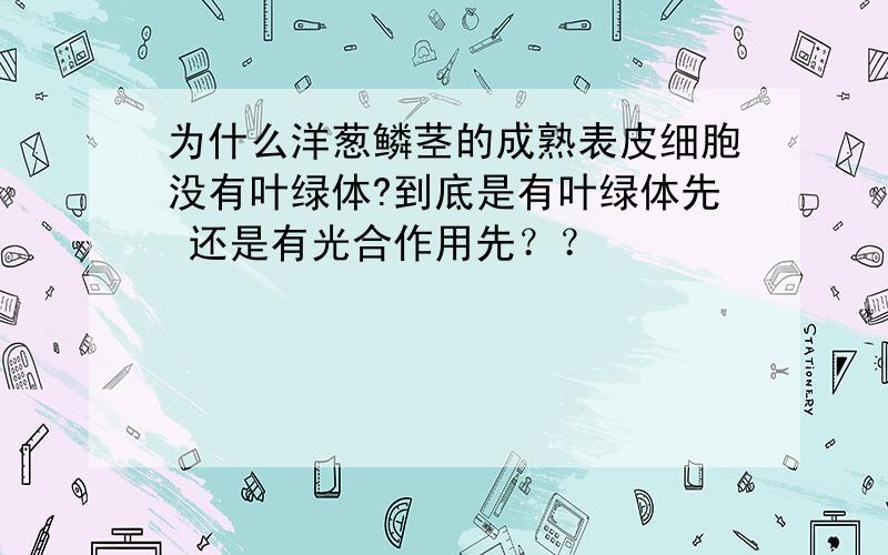 为什么洋葱鳞茎的成熟表皮细胞没有叶绿体?到底是有叶绿体先 还是有光合作用先？？