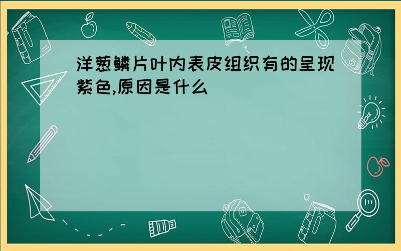 洋葱鳞片叶内表皮组织有的呈现紫色,原因是什么