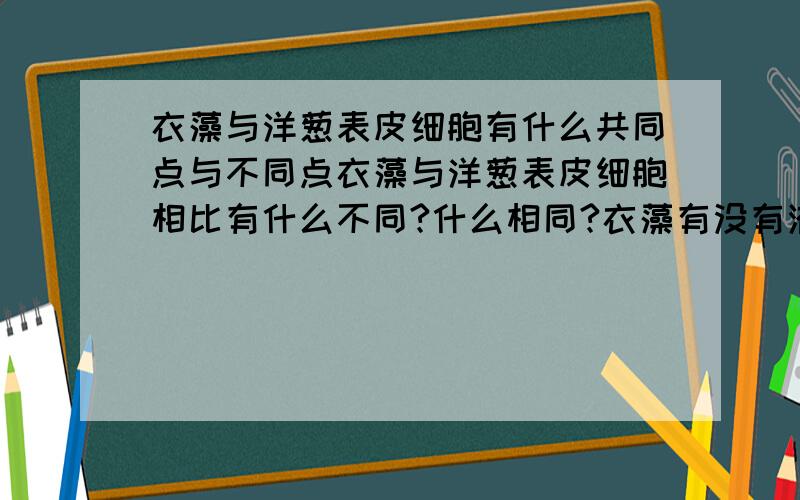 衣藻与洋葱表皮细胞有什么共同点与不同点衣藻与洋葱表皮细胞相比有什么不同?什么相同?衣藻有没有液泡和细胞质?