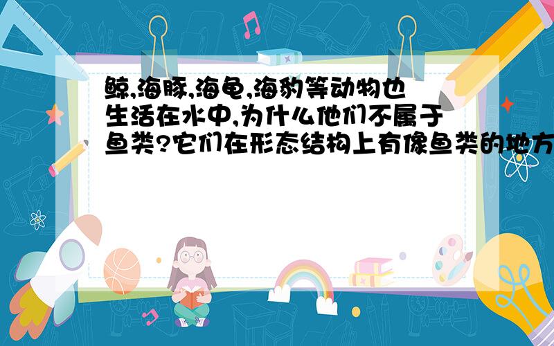 鲸,海豚,海龟,海豹等动物也生活在水中,为什么他们不属于鱼类?它们在形态结构上有像鱼类的地方吗?