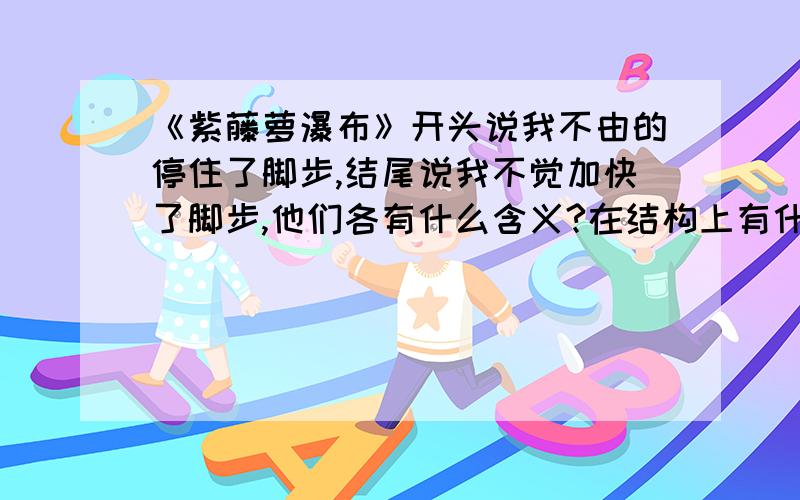 《紫藤萝瀑布》开头说我不由的停住了脚步,结尾说我不觉加快了脚步,他们各有什么含义?在结构上有什么作用?