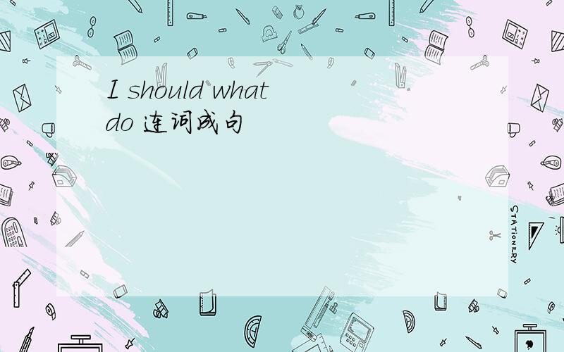 I should what do 连词成句