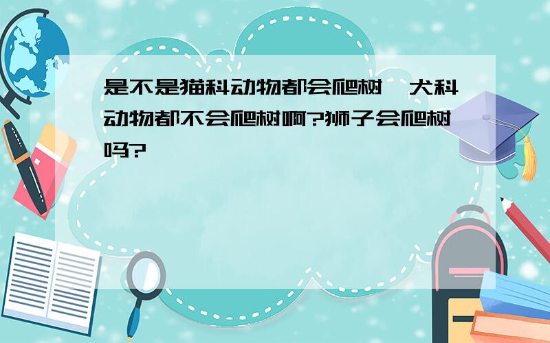 是不是猫科动物都会爬树,犬科动物都不会爬树啊?狮子会爬树吗?