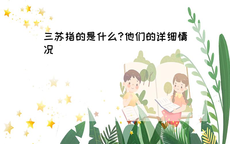 三苏指的是什么?他们的详细情况