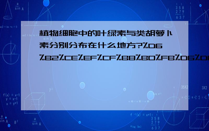 植物细胞中的叶绿素与类胡萝卜素分别分布在什么地方?%D6%B2%CE%EF%CF%B8%B0%FB%D6%D0%B5%C4%D2%B6%C2%CC%CB%D8%D3%EB%C0%E0%BA%FA%C2%DC%B2%B7%CB%D8%B7%D6%B1%F0%B7%D6%B2%BC%D4%DA%CA%B2%C3%B4%B5%D8%B7%BD%A3%BF