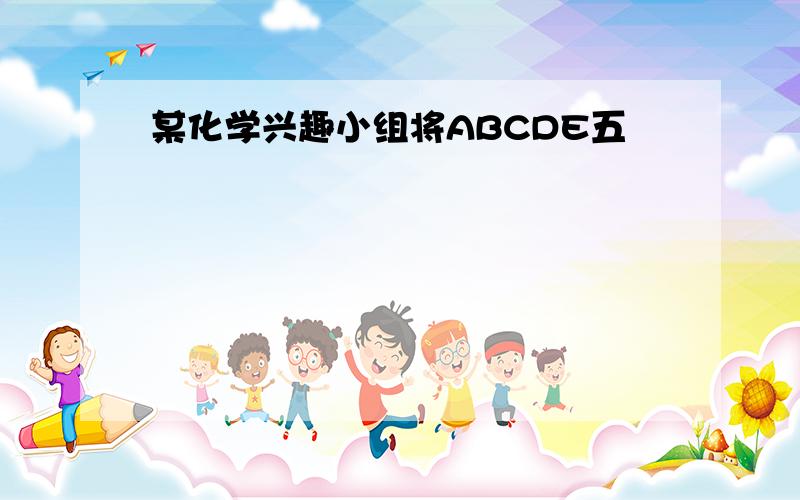 某化学兴趣小组将ABCDE五